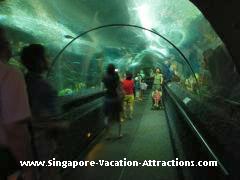 Singapore Underwater World photos