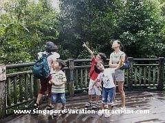 rainforest courtyard singapore zoo