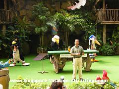 Singapore Jurong Bird Park Show