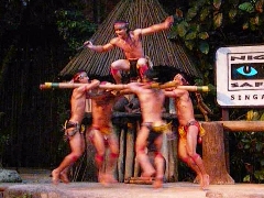 A Bornean tribal dance performed at the Night Safari Singapore