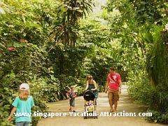 family vacation singapore zoo