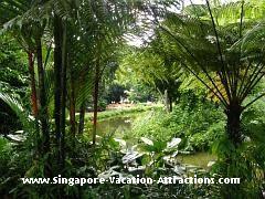 surroundings of singapore zoo